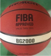 Basketball BG2000