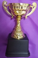 Metal Cup Trophy 2